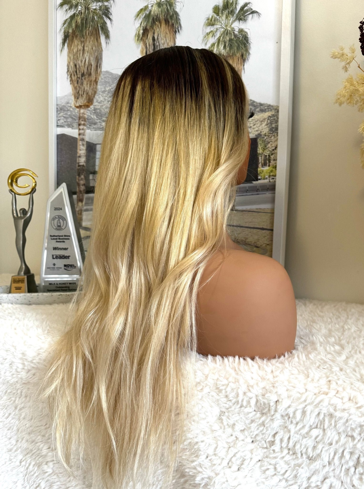 SEAMLESS OMBRE Straight Human Hair Wig 22” **READY TO SHIP** - Milk & Honey Wigs